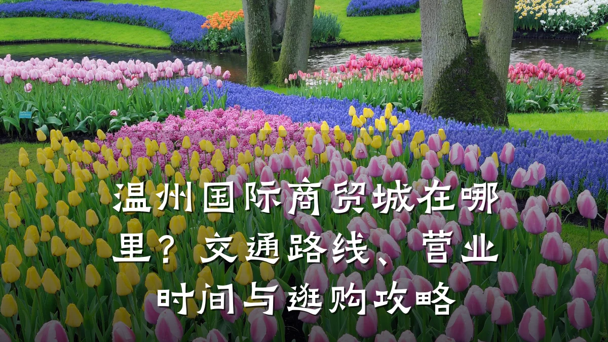 温州国际商贸城在哪里?交通路线、营业时间与逛购攻略