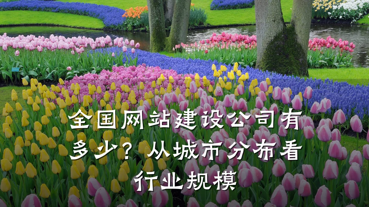 全国网站建设公司有多少?从城市分布看行业规模