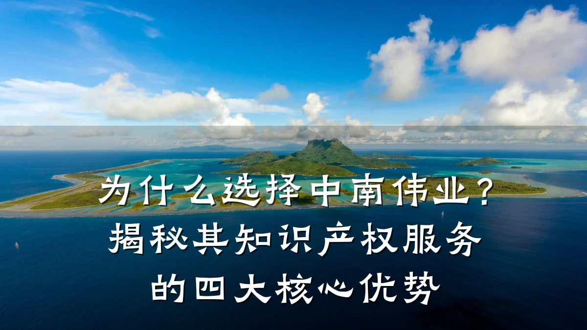 为什么选择中南伟业?揭秘其知识产权服务的四大核心优势