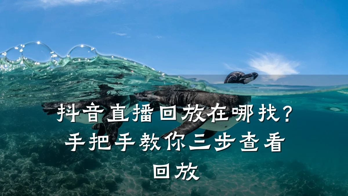 抖音直播回放在哪找?手把手教你三步查看回放
