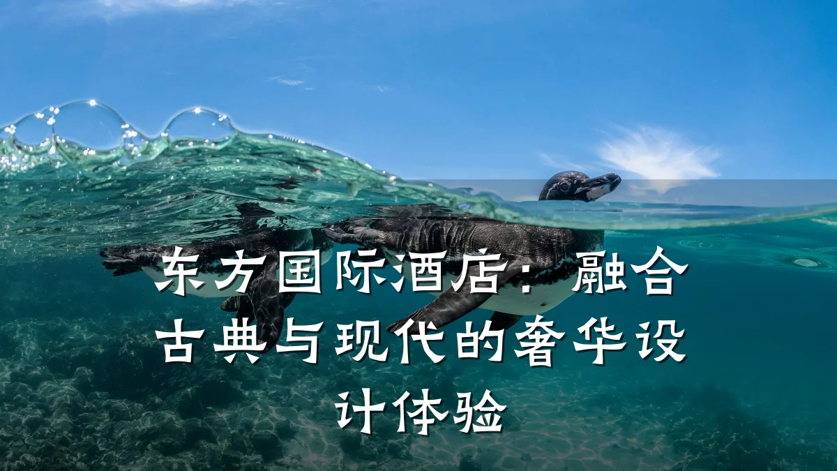 东方国际酒店:融合古典与现代的奢华设计体验