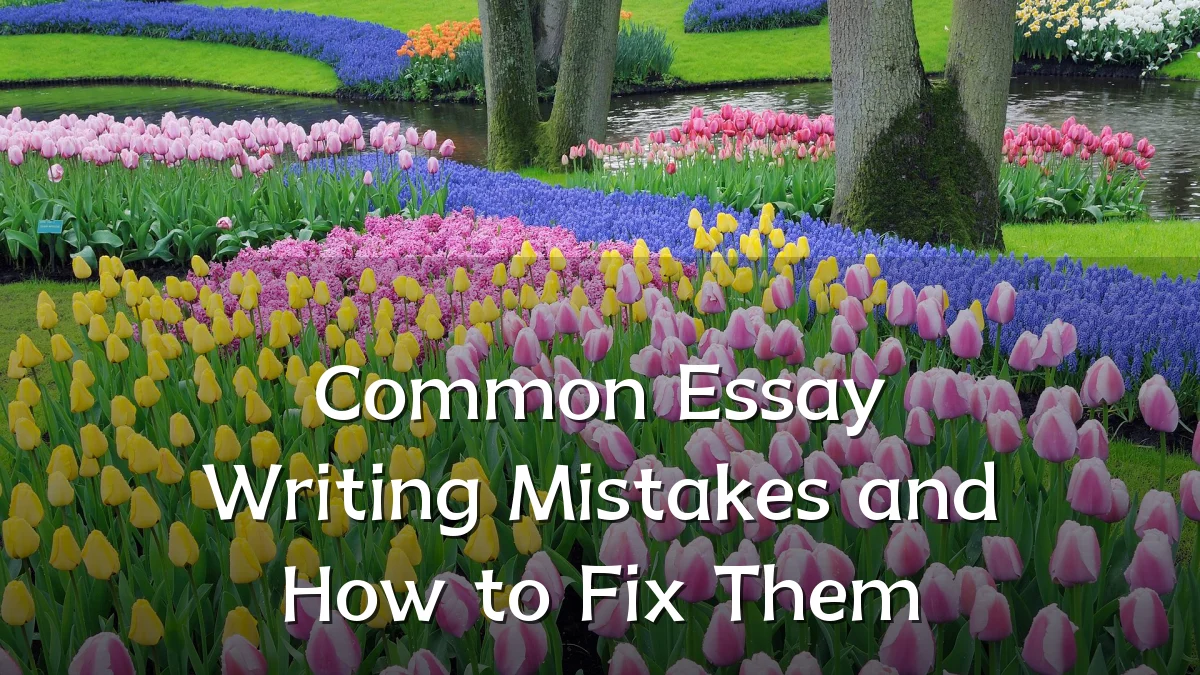 Common Essay Writing Mistakes and How to Fix Them