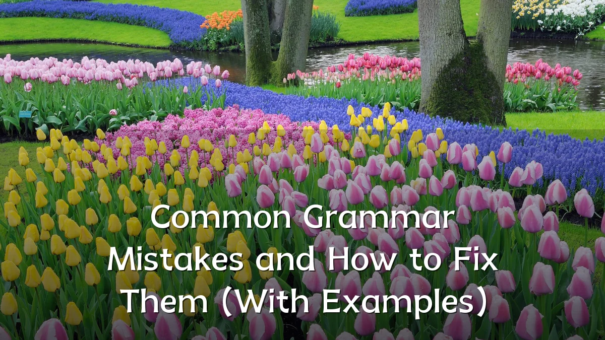 Common Grammar Mistakes and How to Fix Them (With Examples)