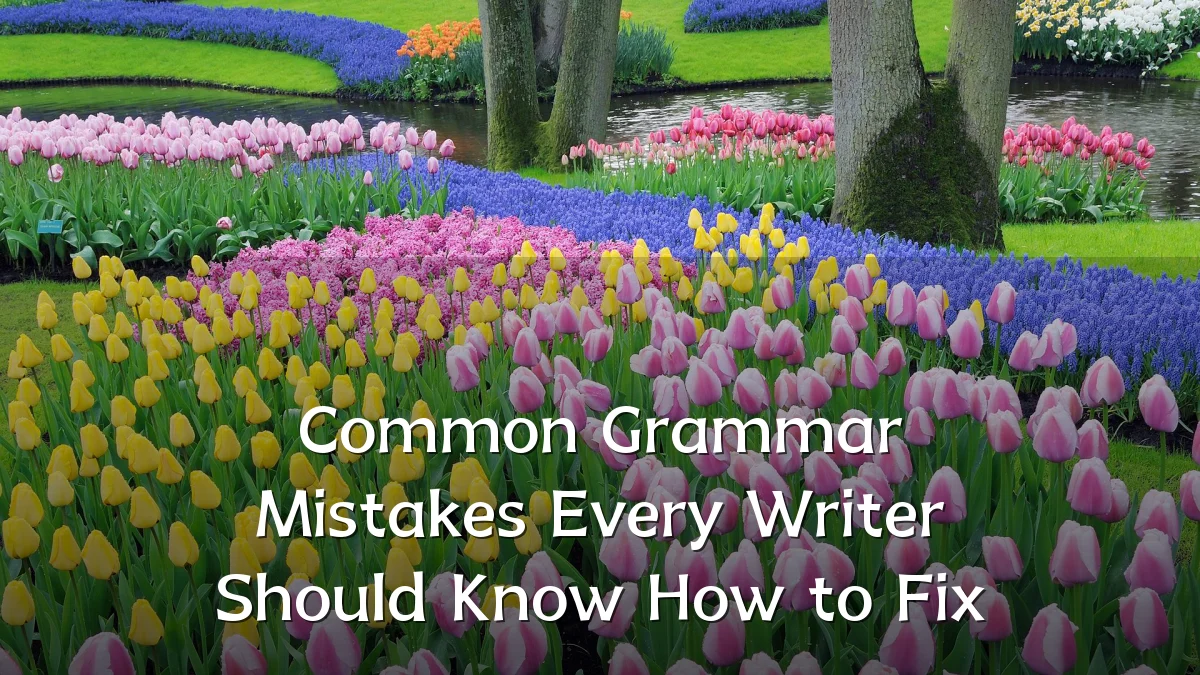 Common Grammar Mistakes Every Writer Should Know How to Fix