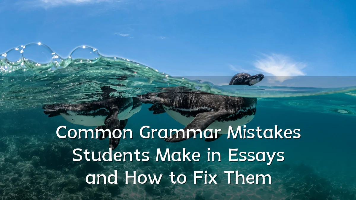 Common Grammar Mistakes Students Make in Essays and How to Fix Them