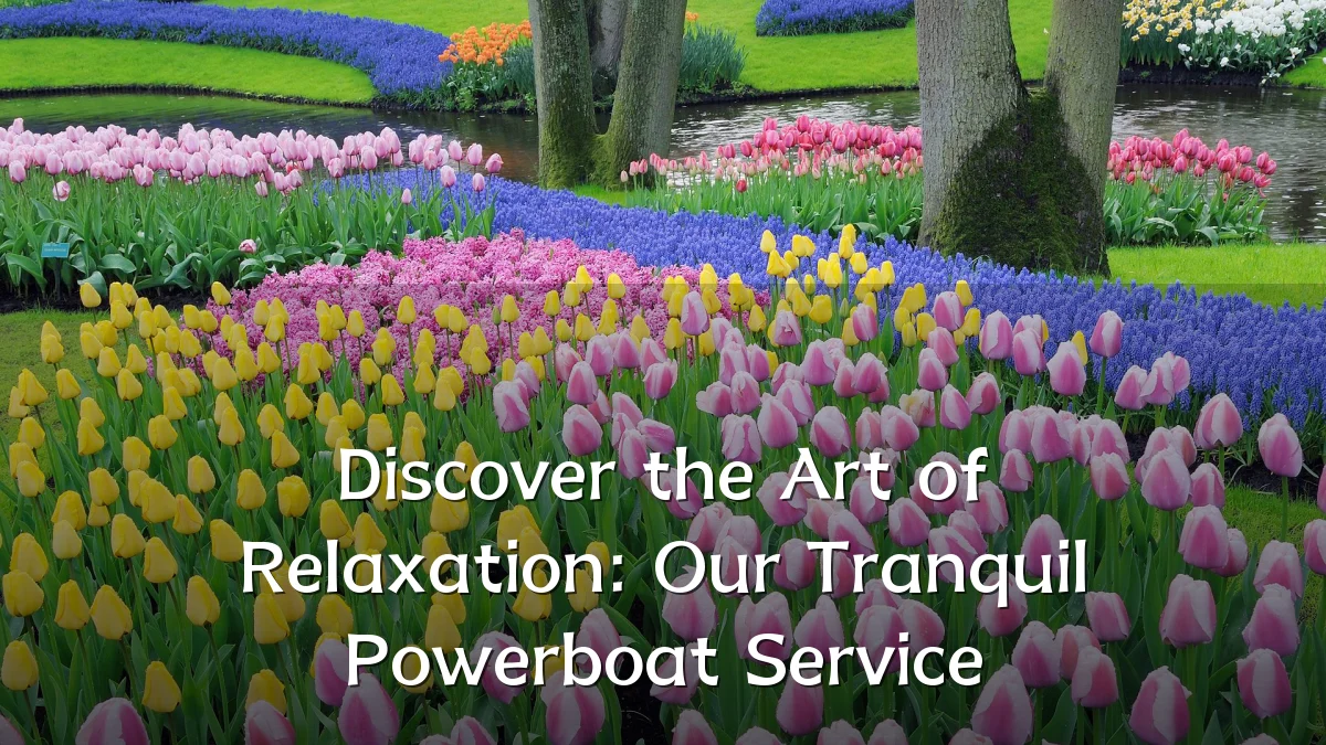 Discover the Art of Relaxation: Our Tranquil Powerboat Service