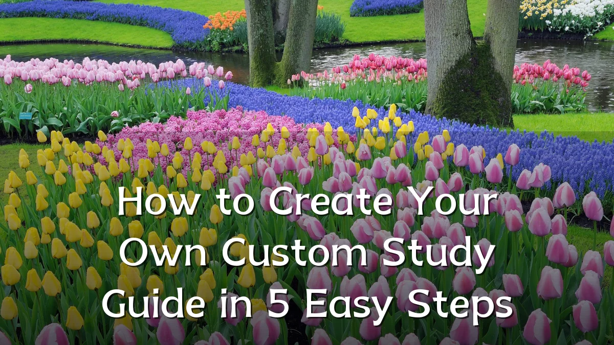 How to Create Your Own Custom Study Guide in 5 Easy Steps