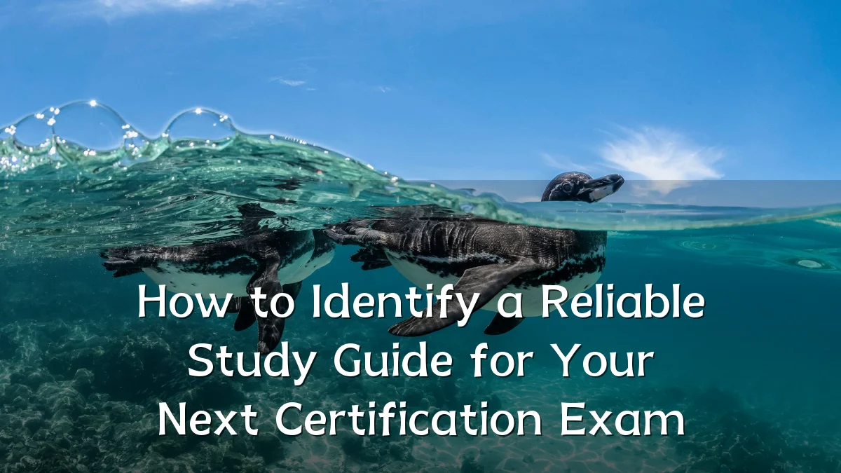 How to Identify a Reliable Study Guide for Your Next Certification Exam