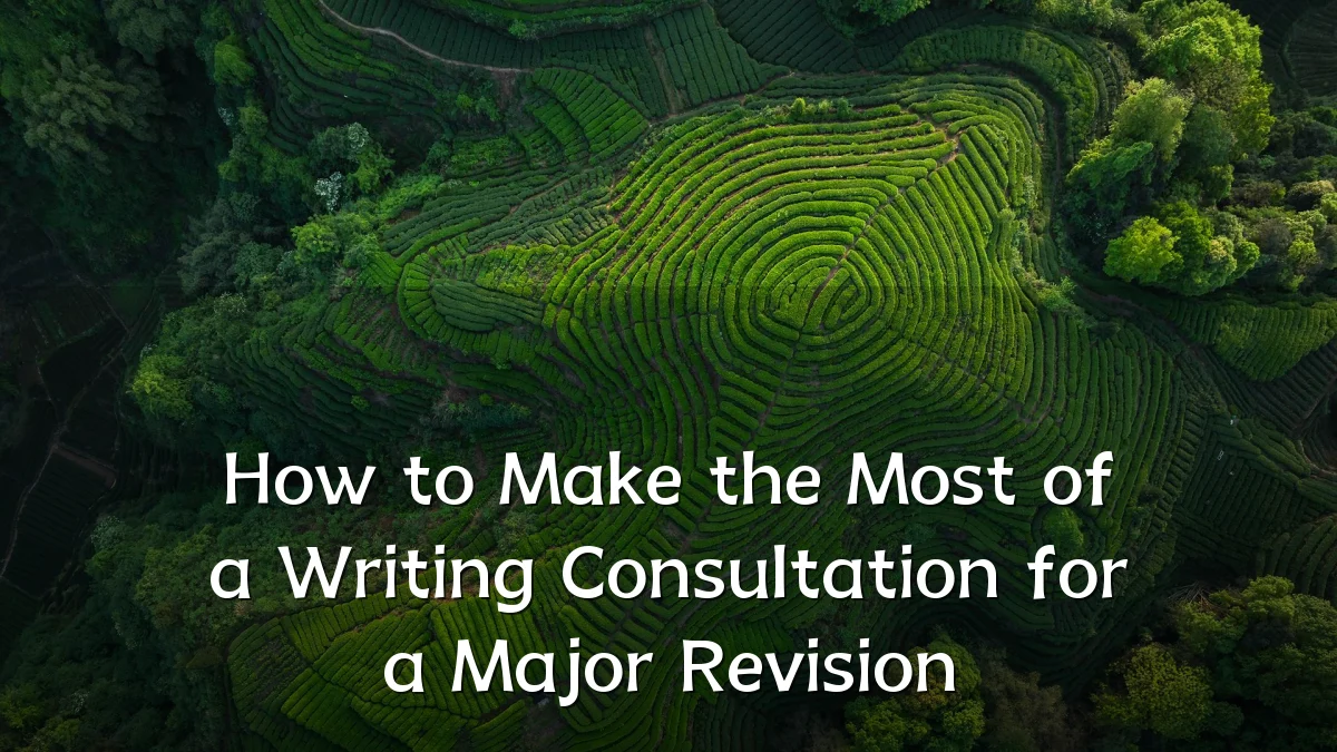 How to Make the Most of a Writing Consultation for a Major Revision