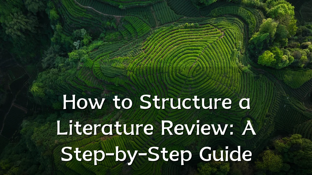 How to Structure a Literature Review: A Step-by-Step Guide