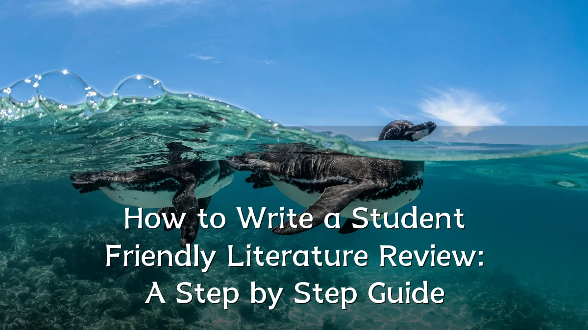 How to Write a Student Friendly Literature Review: A Step by Step Guide