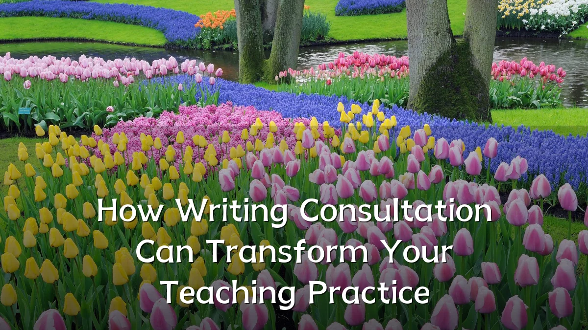 How Writing Consultation Can Transform Your Teaching Practice