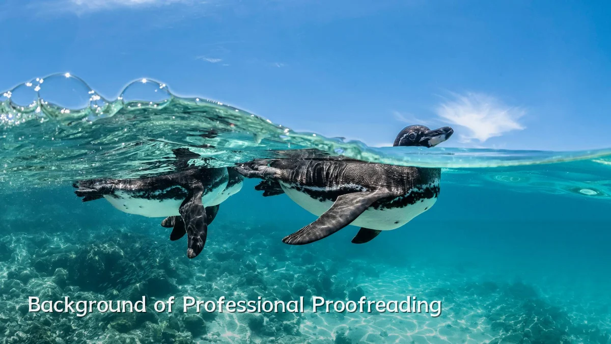 Background of Professional Proofreading