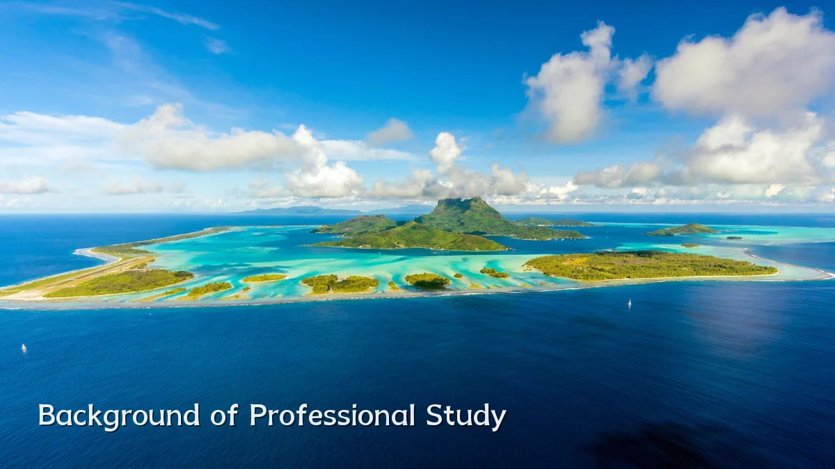 Background of Professional Study