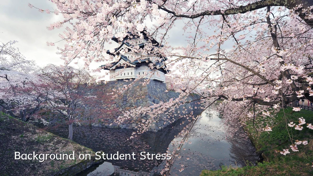 Background on Student Stress