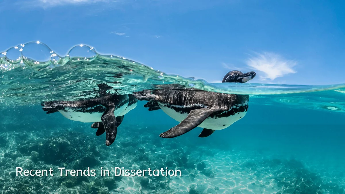 Recent Trends in Dissertation
