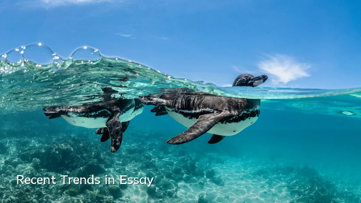 Recent Trends in Essay