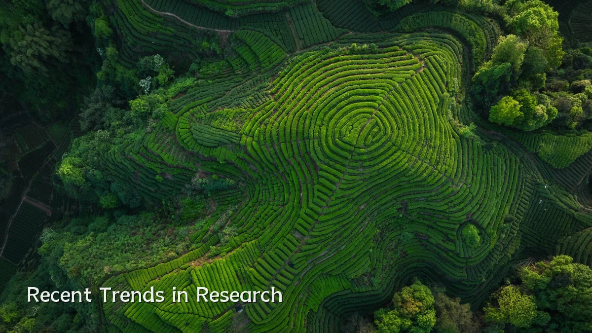 Recent Trends in Research