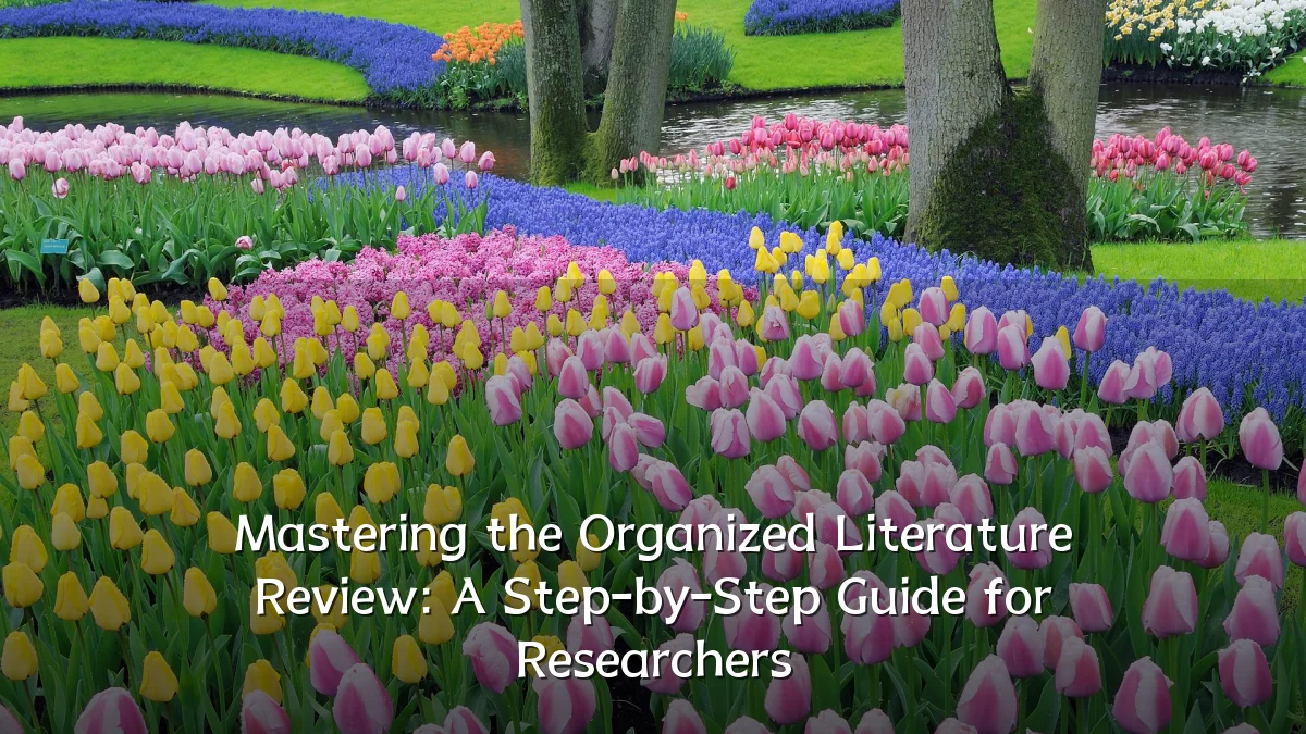 Mastering the Organized Literature Review: A Step-by-Step Guide for Researchers