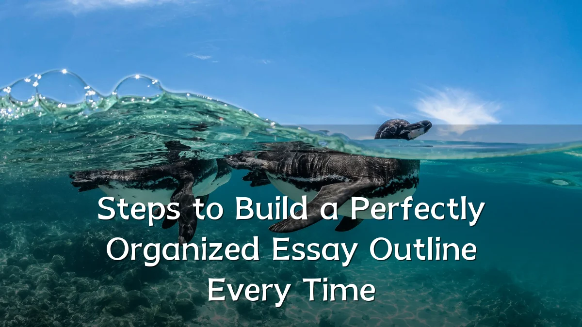Steps to Build a Perfectly Organized Essay Outline Every Time