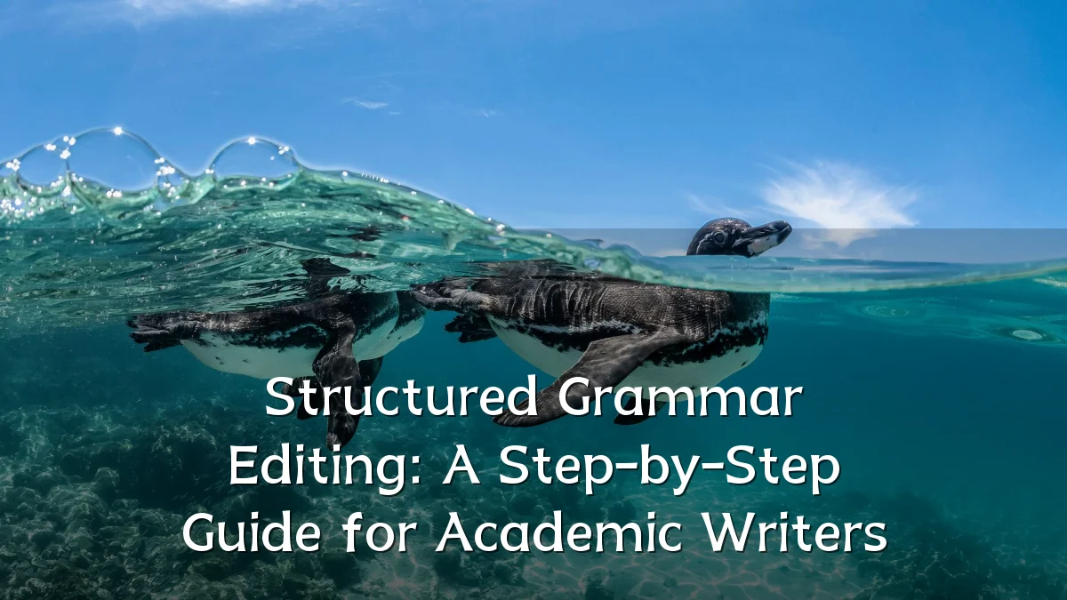 Structured Grammar Editing: A Step-by-Step Guide for Academic Writers