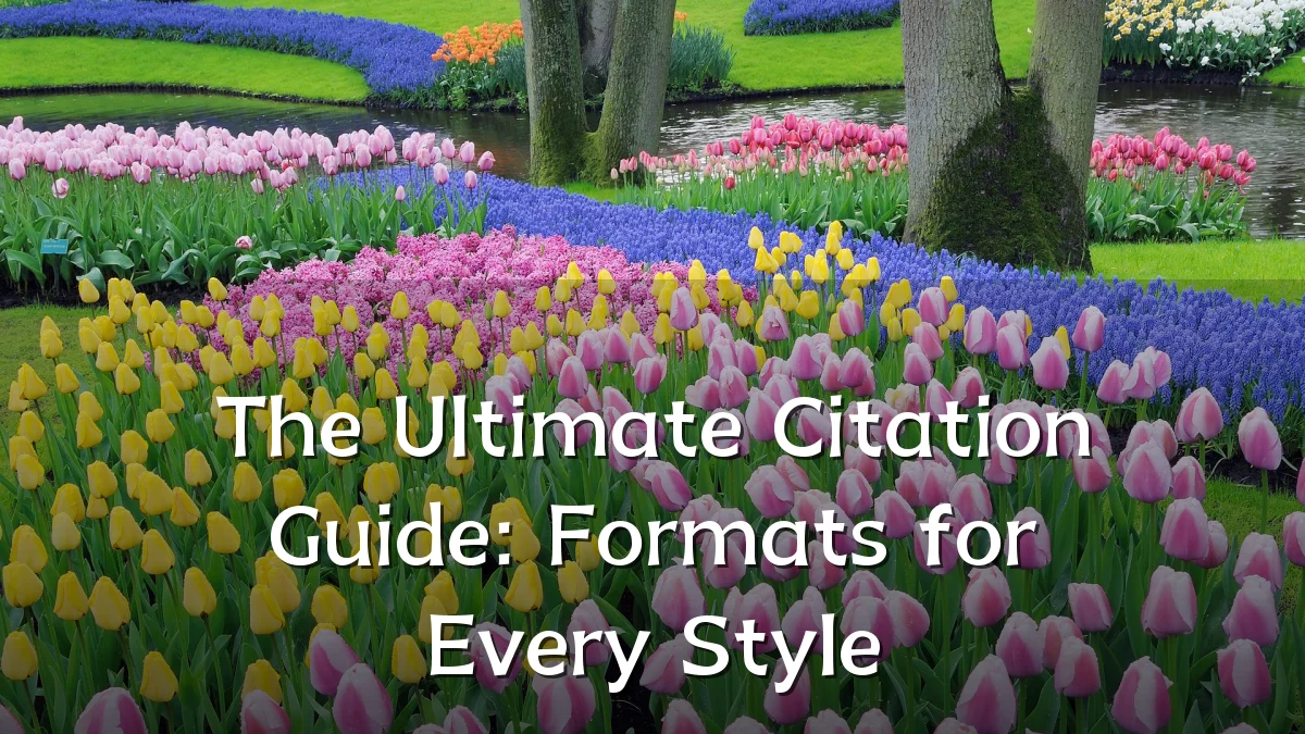 The Ultimate Citation Guide: Formats for Every Style
