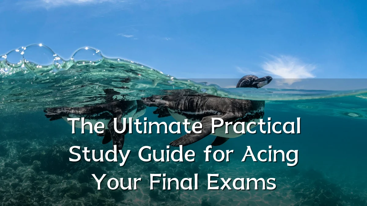 The Ultimate Practical Study Guide for Acing Your Final Exams