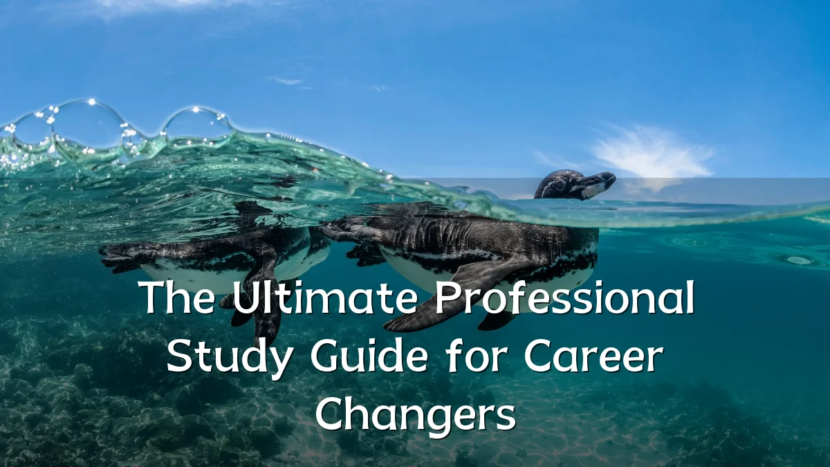 The Ultimate Professional Study Guide for Career Changers