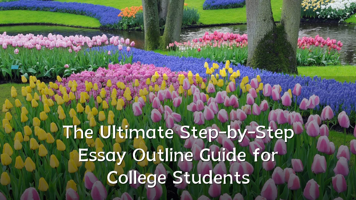 The Ultimate Step-by-Step Essay Outline Guide for College Students