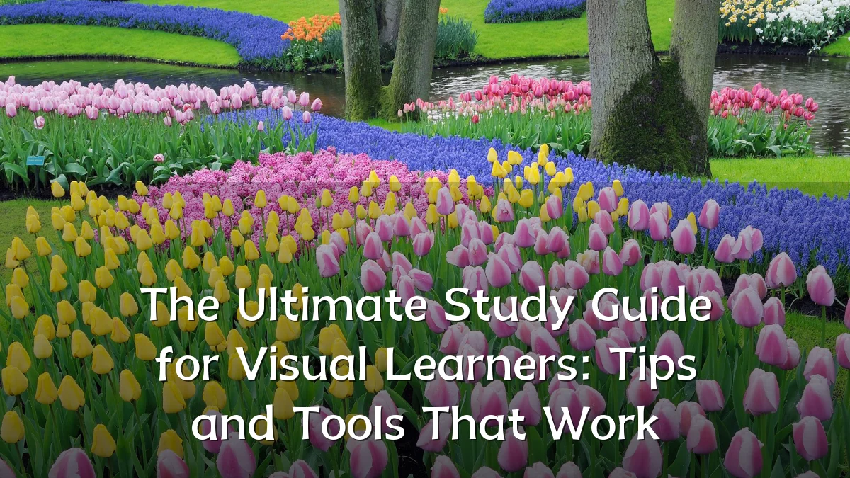 The Ultimate Study Guide for Visual Learners: Tips and Tools That Work