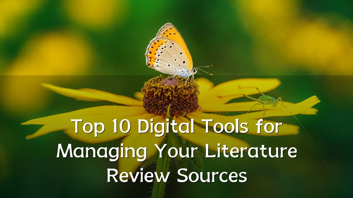Top 10 Digital Tools for Managing Your Literature Review Sources