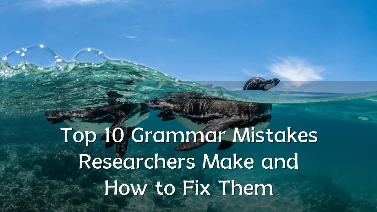 Top 10 Grammar Mistakes Researchers Make and How to Fix Them