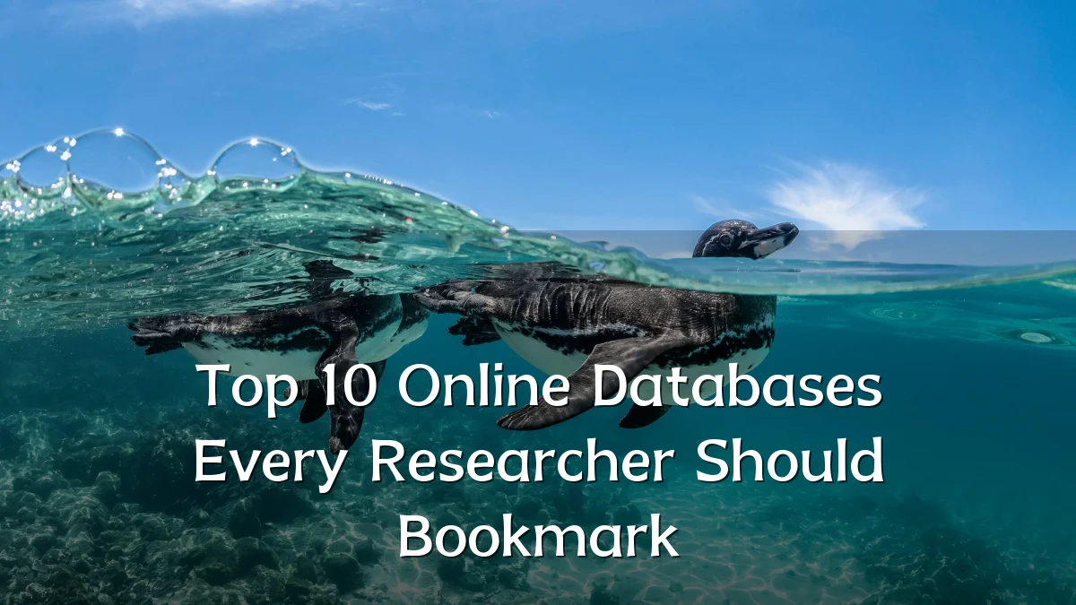 Top 10 Online Databases Every Researcher Should Bookmark
