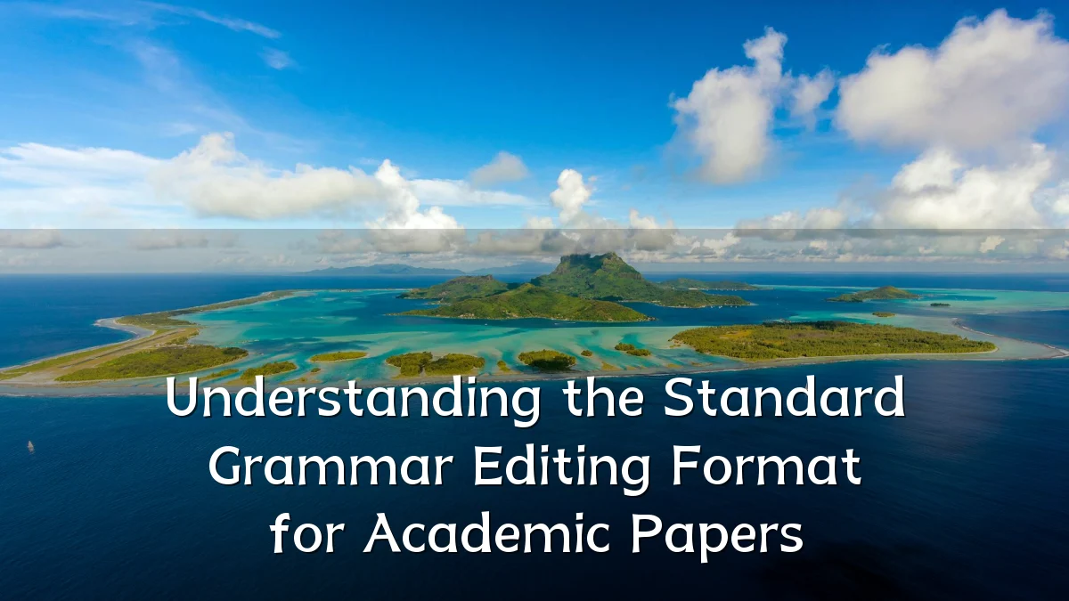 Understanding the Standard Grammar Editing Format for Academic Papers