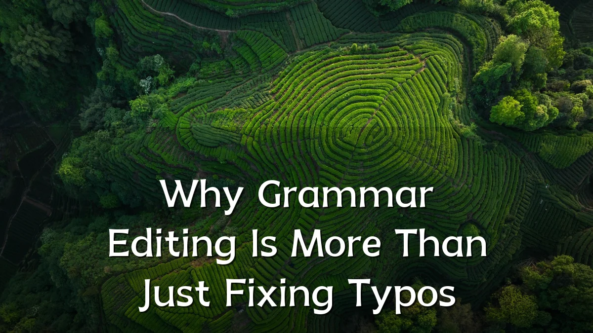 Why Grammar Editing Is More Than Just Fixing Typos