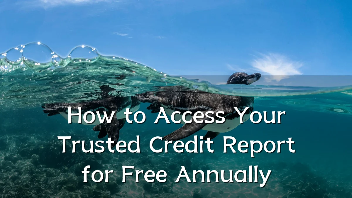 How to Access Your Trusted Credit Report for Free Annually