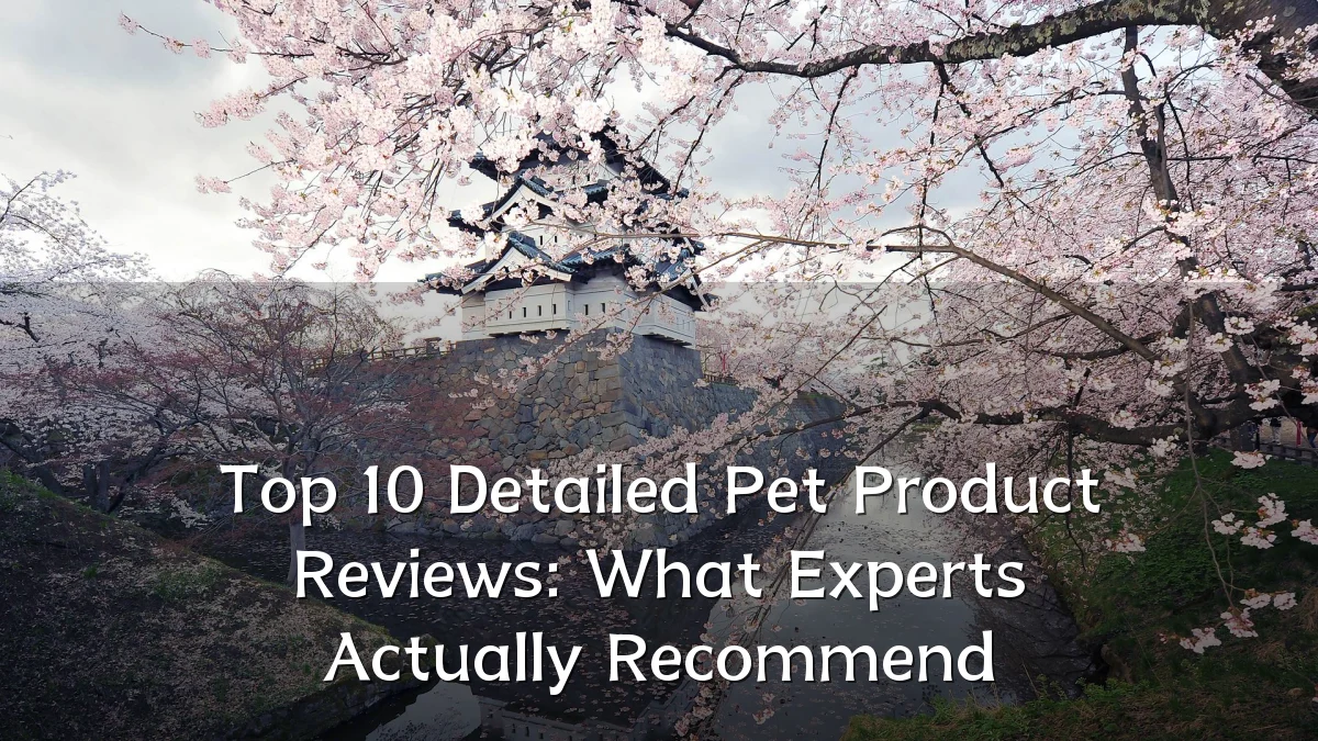 Top 10 Detailed Pet Product Reviews: What Experts Actually Recommend