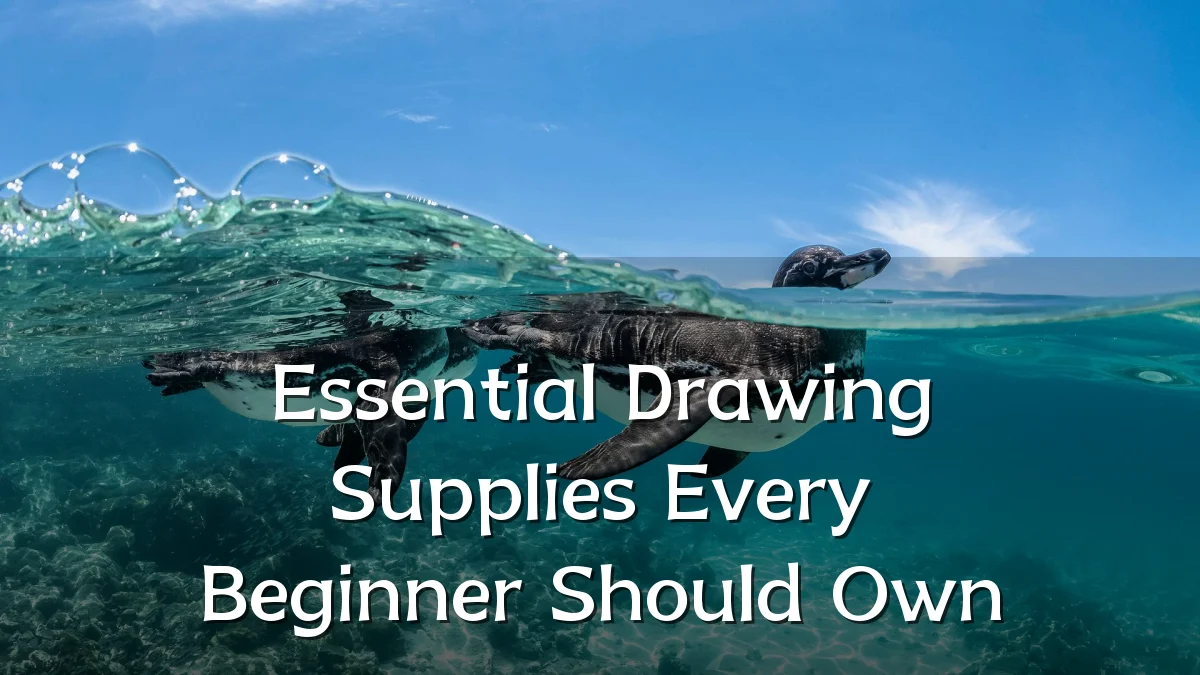 Essential Drawing Supplies Every Beginner Should Own