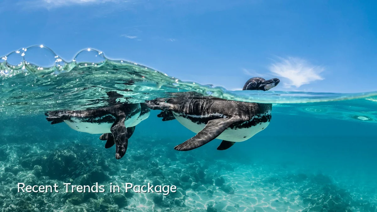 Recent Trends in Package