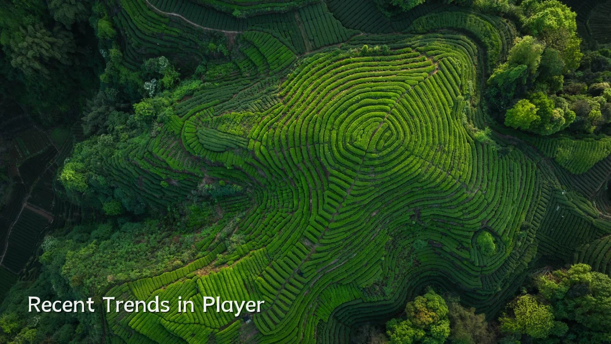 Recent Trends in Player