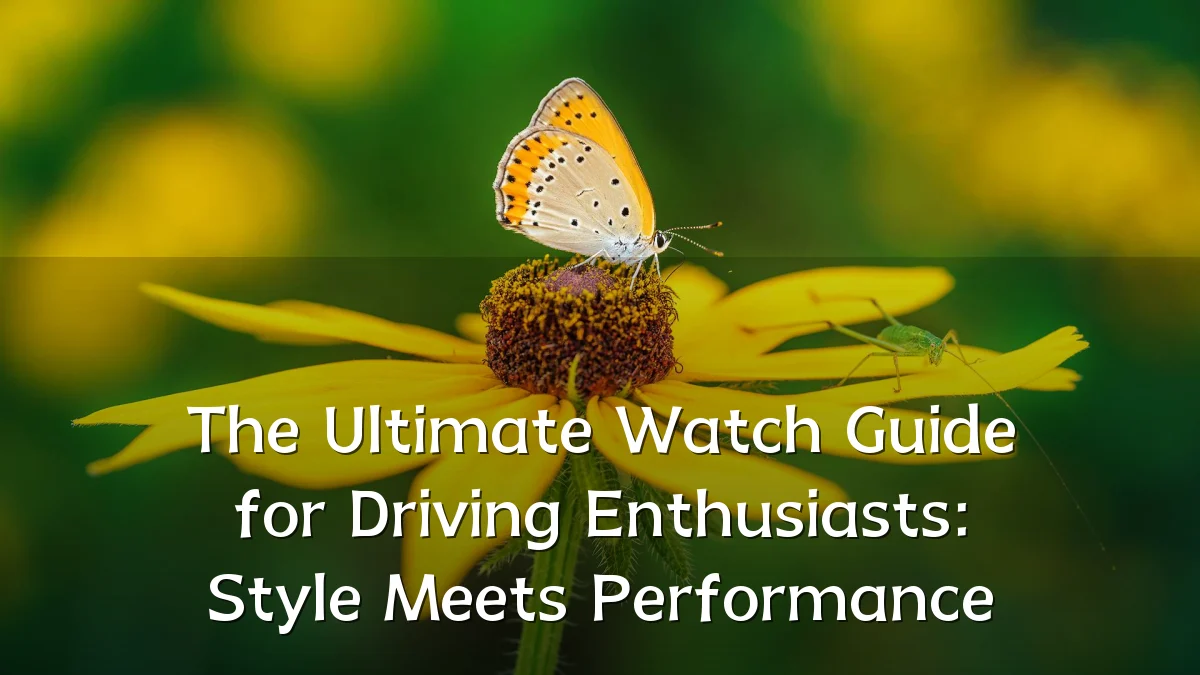 The Ultimate Watch Guide for Driving Enthusiasts: Style Meets Performance
