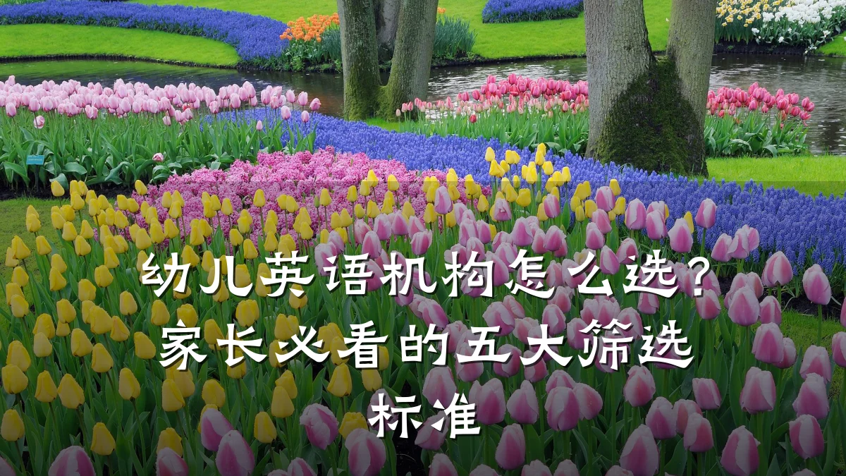 幼儿英语机构怎么选？家长必看的五大筛选标准